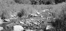 Remill Park (USACE)
